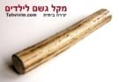 מקל גשם