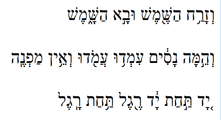 איך מנקדים בוורד